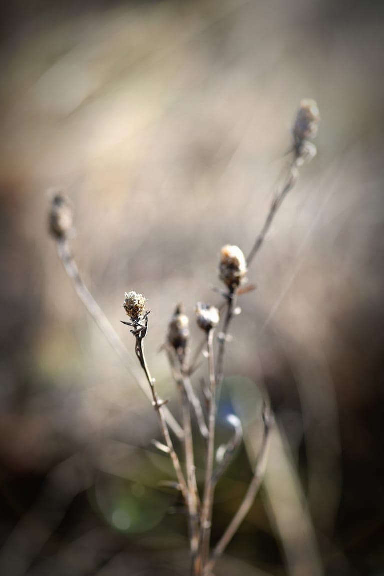 Gallery media #8